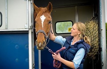 Shires Vets Stafford Gallery Image 1