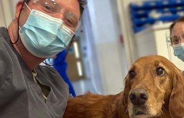 Southfields Veterinary Specialists Gallery Image 2