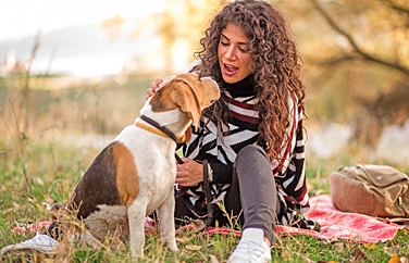 St Anne's Veterinary Group Eastbourne Gallery Image 3