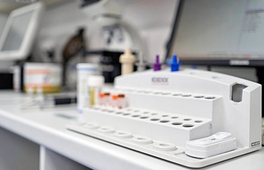 St Anne's Veterinary Group Langney Gallery Image 2