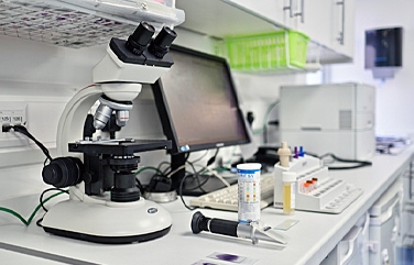 St Anne's Veterinary Group Willingdon Gallery Image 2