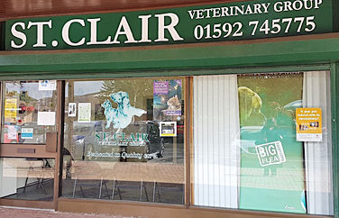 St. Clair Veterinary Group Cadham Gallery Image 1