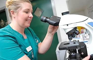 St. Clair Veterinary Group Leven Gallery Image 2