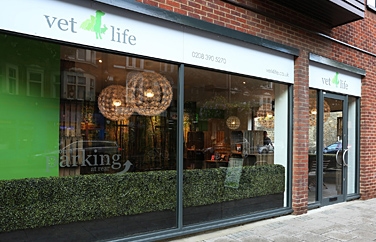 Vet4Life Surbiton Gallery Image 1