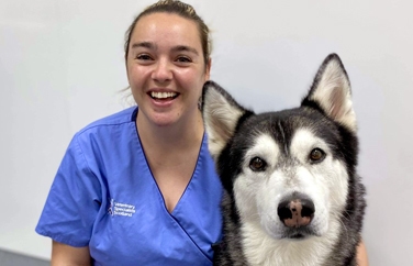 Veterinary Specialists Scotland Gallery Image 2