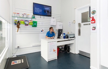 Village Vet (Brackenbury) Gallery Image 2