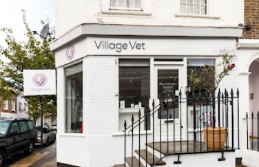 Village Vet (Brook Green) Gallery Image 1