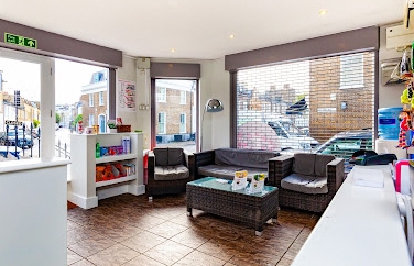 Village Vet (Brook Green) Gallery Image 2