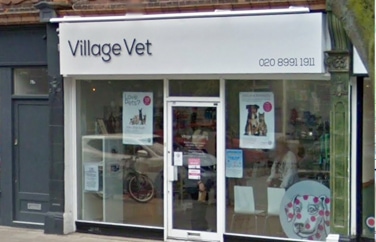 Village Vet (Ealing) Gallery Image 1