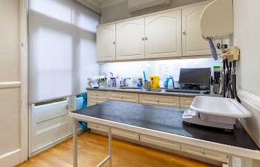 Village Vet (Finchley) Gallery Image 2