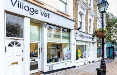 Village Vet (Hampstead) Gallery Image 1
