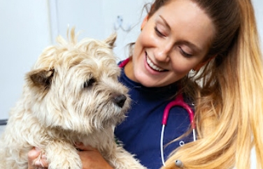 Village Vet (Hampstead) Gallery Image 3