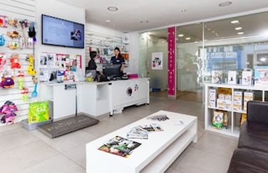 Village Vet (Highbury) Gallery Image 2