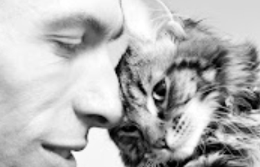 Village Vet (Highgate) Gallery Image 3