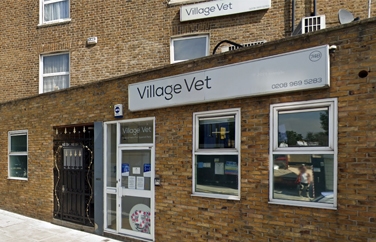 Village Vet (Kensal Green) Gallery Image 1