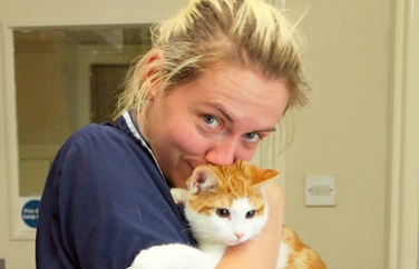 Village Vet (Kensal Green) Gallery Image 3