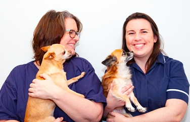 Village Vet (Meldreth) Gallery Image 3