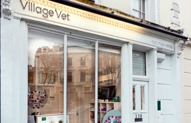 Village Vet (Primrose Hill) Gallery Image 1