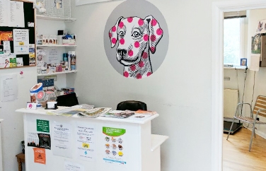 Village Vet (Primrose Hill) Gallery Image 2
