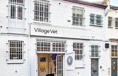 Village Vet (Queens Park) Gallery Image 1