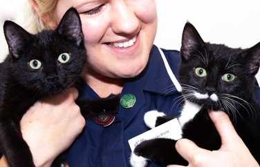 Village Vet (Royston) Gallery Image 3