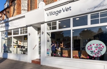 Village Vet (Southgate) Gallery Image 1