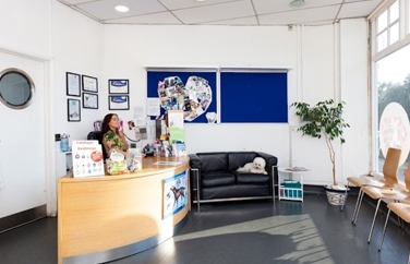 Village Vet (Southgate) Gallery Image 2