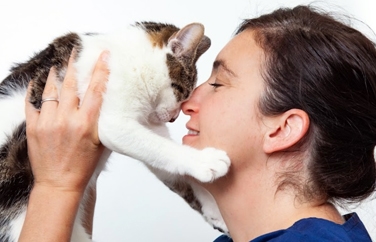 Village Vet (St Helens) Gallery Image 3