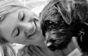 Village Vet (St Johns Wood) Gallery Image 2