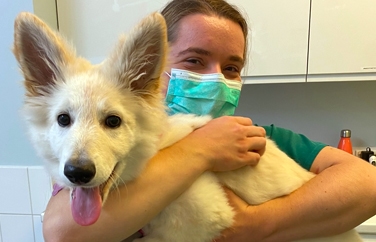 Warren House Veterinary Group Lordswood Gallery Image 2