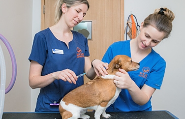 Wear Referrals Gallery Image 2