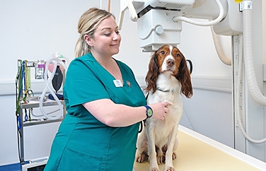 West Midlands Referrals Gallery Image 2