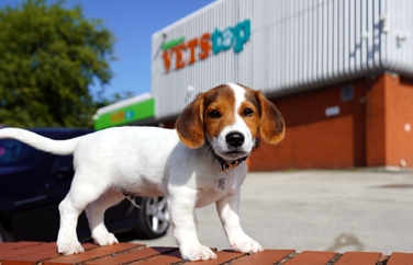 Wildbore Vetstop Gallery Image 2