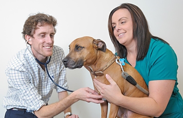 Woodward Veterinary Practice Gallery Image 2