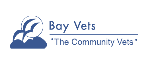 Bay Vets Lancaster