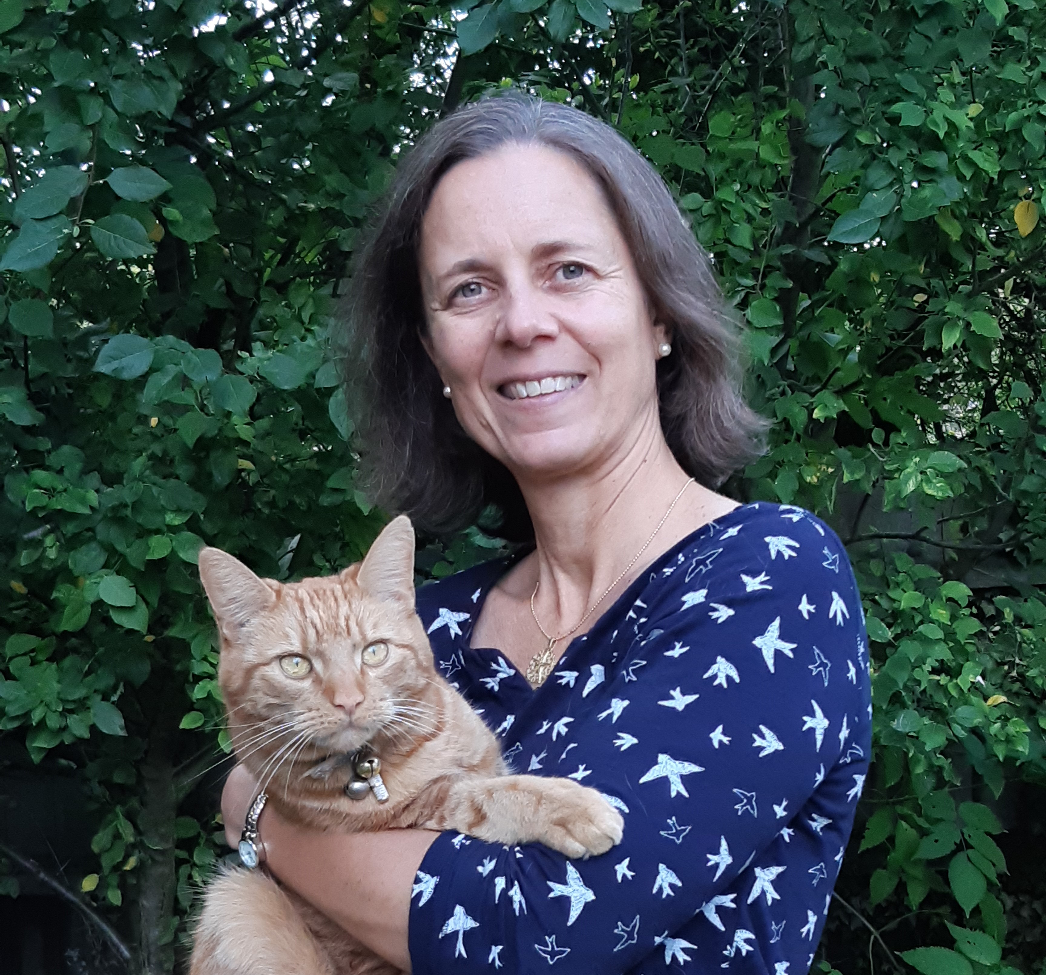 Dedicated funding at Linnaeus supports publication in open-access journals 