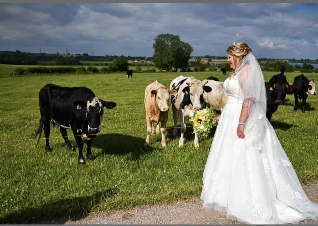 Top Marks As Rosie Shines For Shires