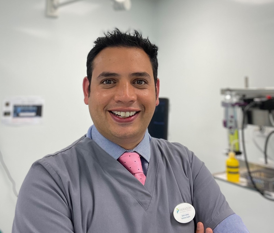 New Heart Surgery Service At Yorkshire Hospital Performs Life-changing Surgery On 40 Dogs In First Year