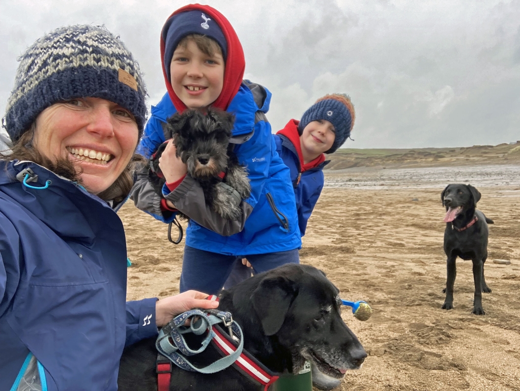 Rejected Christmas Puppy Sprout Saved And Rehomed By Kind-hearted Somerset Cardiologist