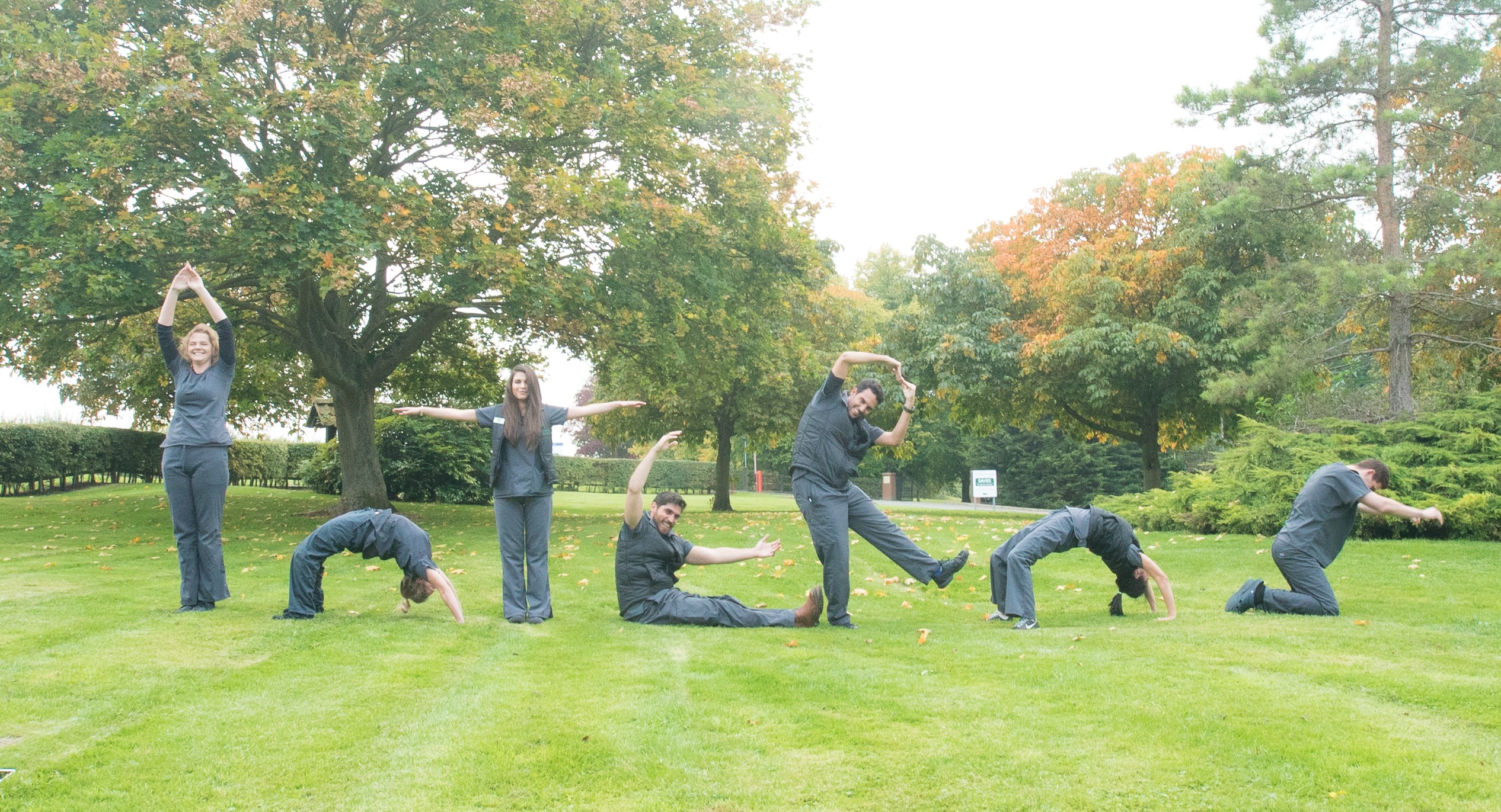 Interns at Linnaeusjpg