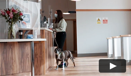 thumb video customer experience