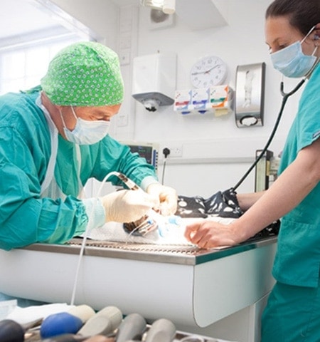 excellence in dentisty