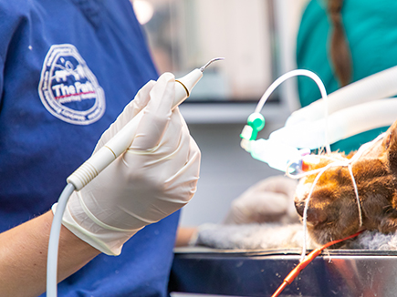 Photo of a previous clinical talk - 06