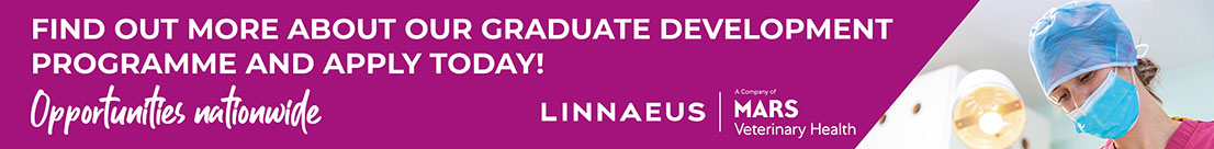 graduate development programmer banner