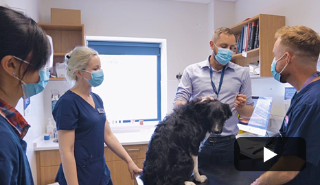 Internships Video Showcase