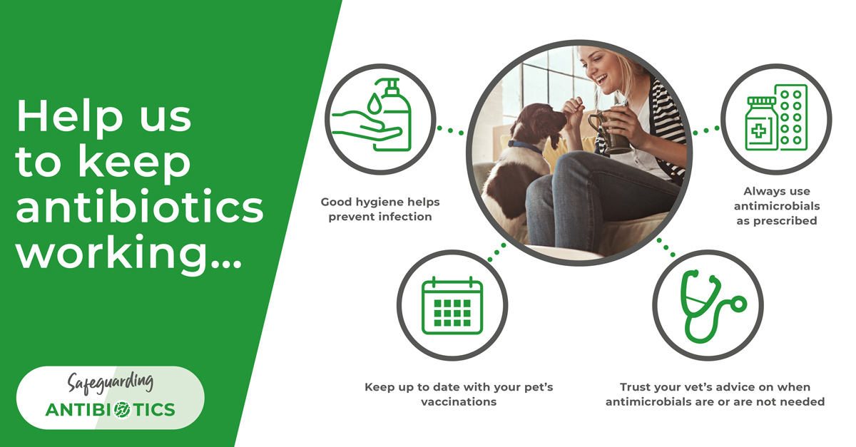 help to keep antibiotics working linnaeus veterinary group