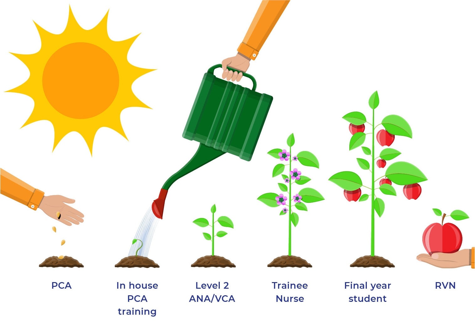 seed grow right environment