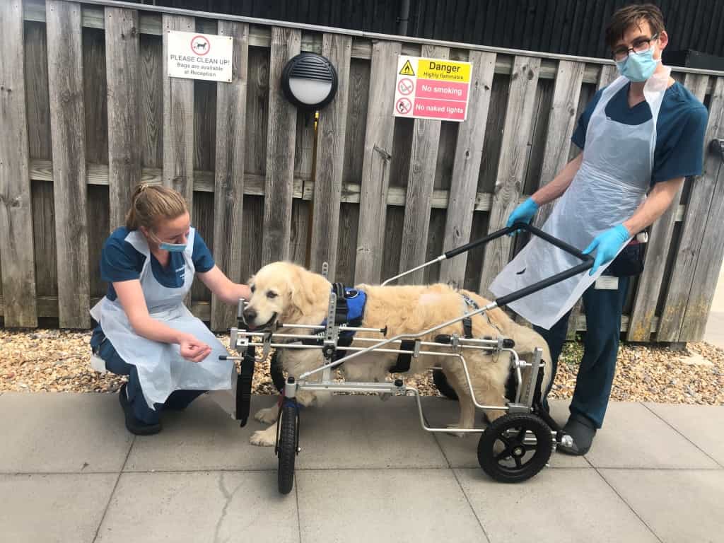 Anderson Moores' Physios Are Wheel Deal To Aid Recovery