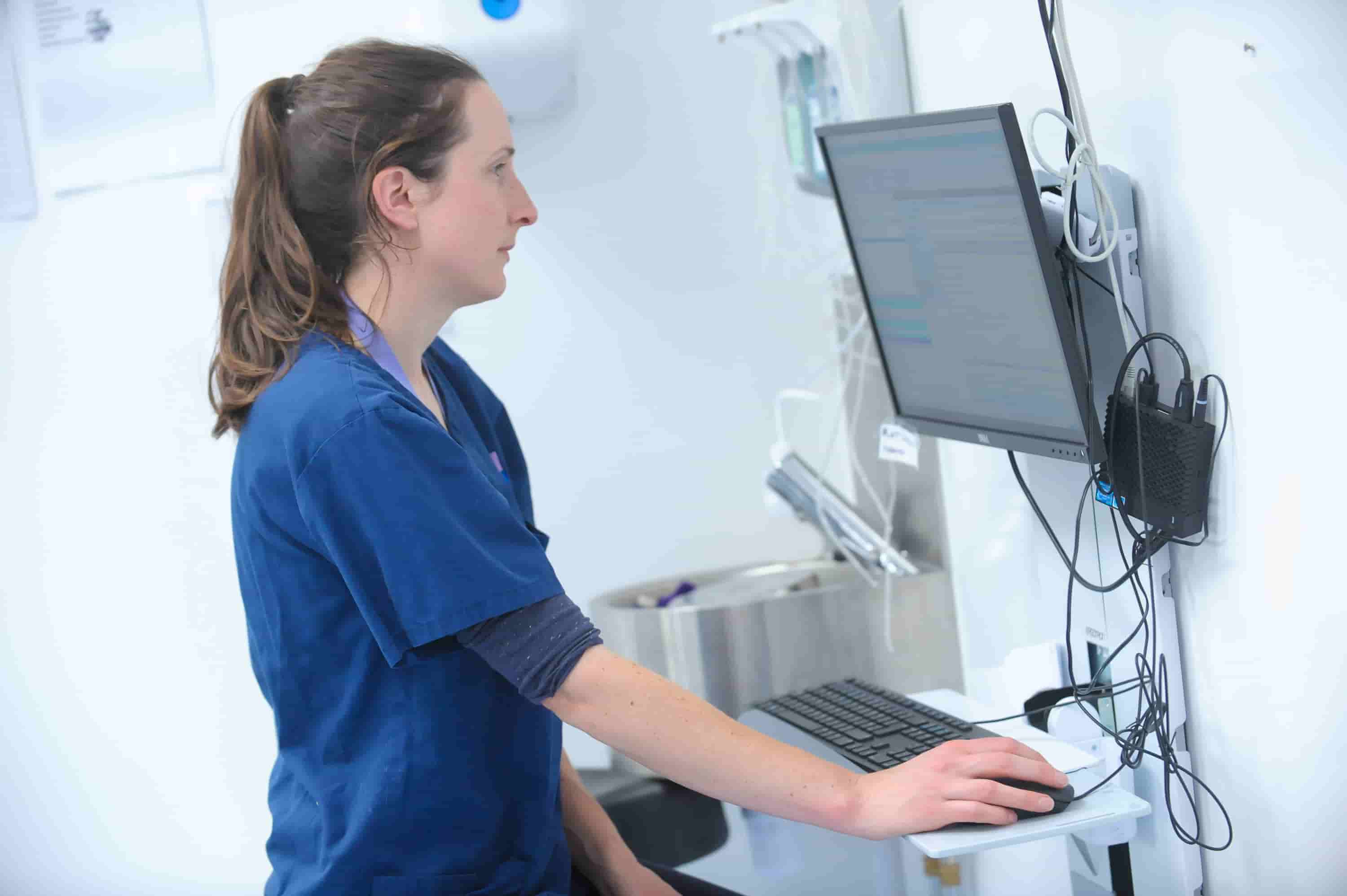 Eight Linnaeus Specialists Recognised By RCVS Fellowship