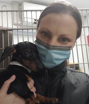 Dachshund puppy recovers from vitamin D toxicity